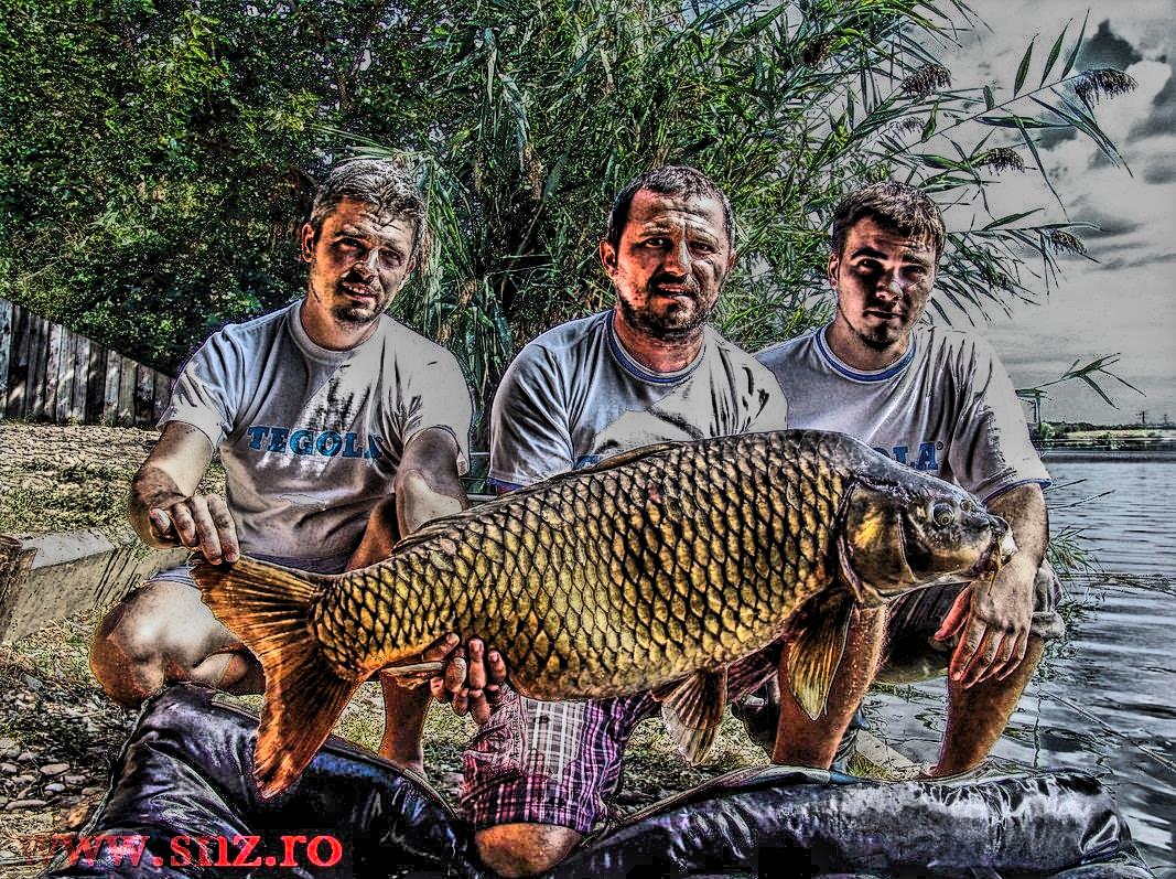 Debutmania - 2013 (3) - dsc03853hdrmode2.JPG